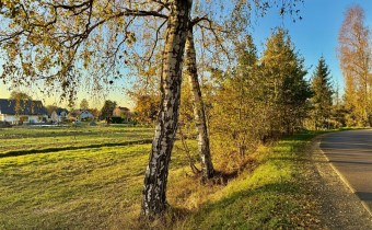 Oświęcim Zaborze | piękna działka na sprzedaż